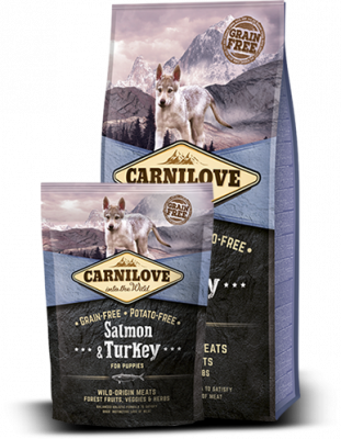 Salmon for adult dogs